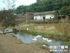 ӡ�������㶫�����ɶ�Ȫð�ݱ�����ֱ����ϵ